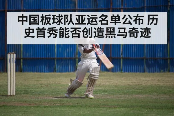 cricket match action