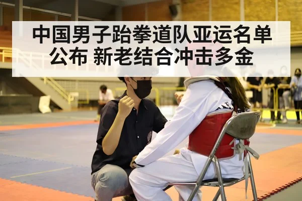 taekwondo competition